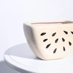 Watermelon Ceramic Planter (5.5 Inch Width)