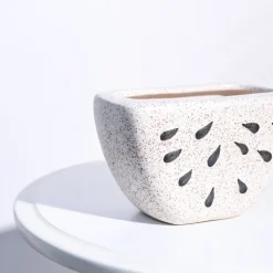 Watermelon Ceramic Planter (5.5 Inch Width)