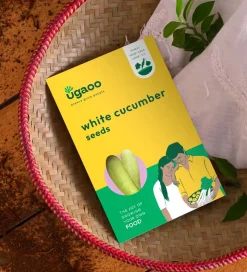 White Cucumber Seeds (Khira)