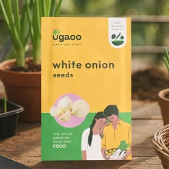White Onion Seeds