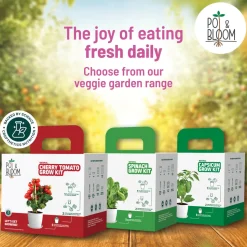 Zinnia Grow Kit