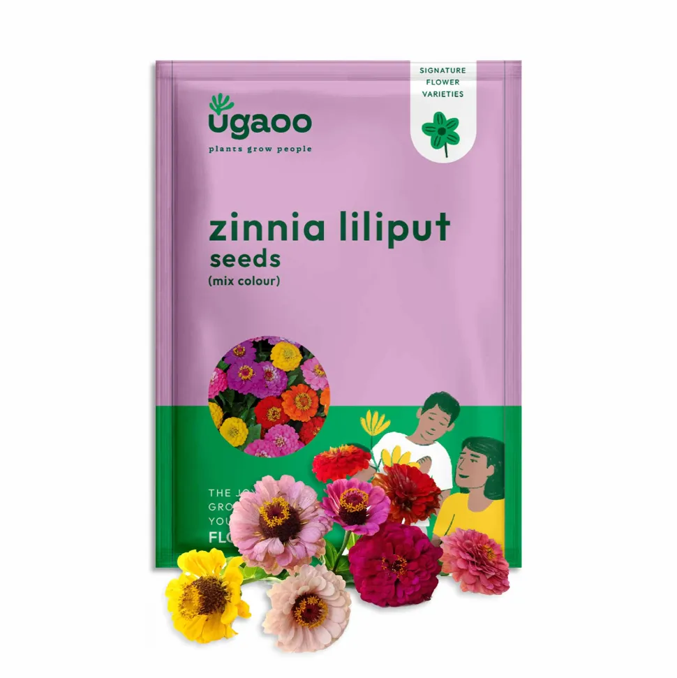 Zinnia Lilliput Mix Seeds